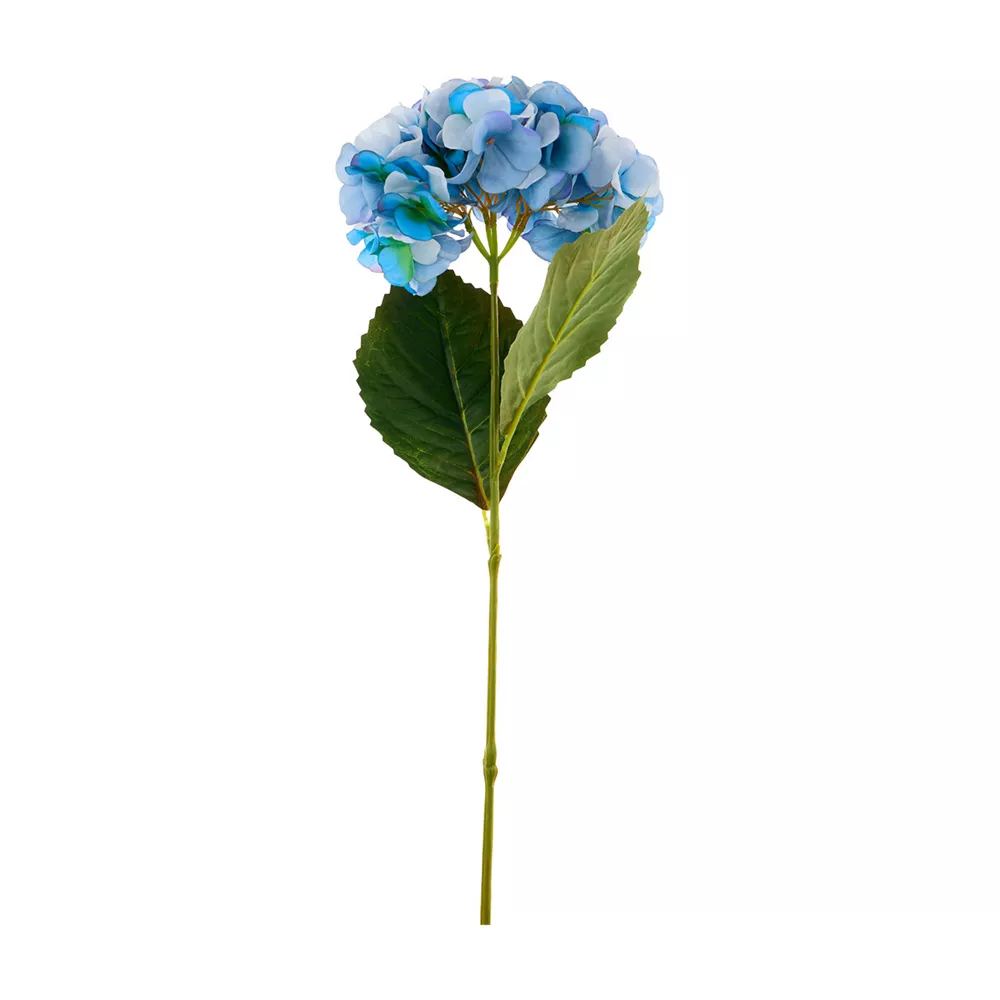 pop-42626302-1